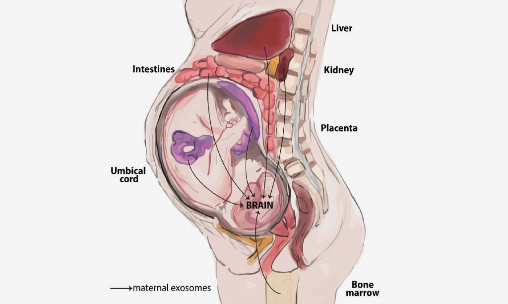 考えられるリスクと合併症